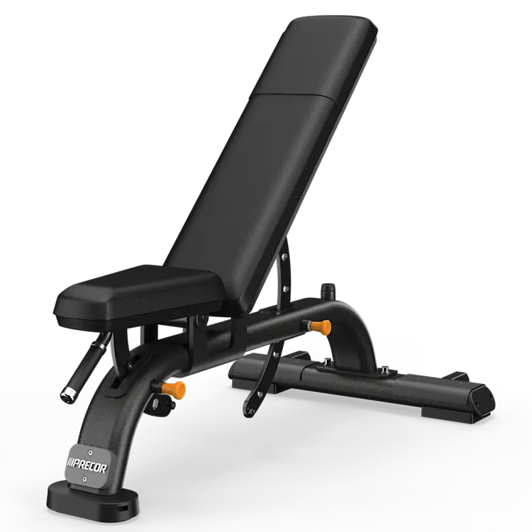 DBR Multi-Adjustable Bench